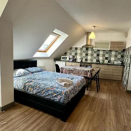 4 Personnes En Plein Centre De Colmar